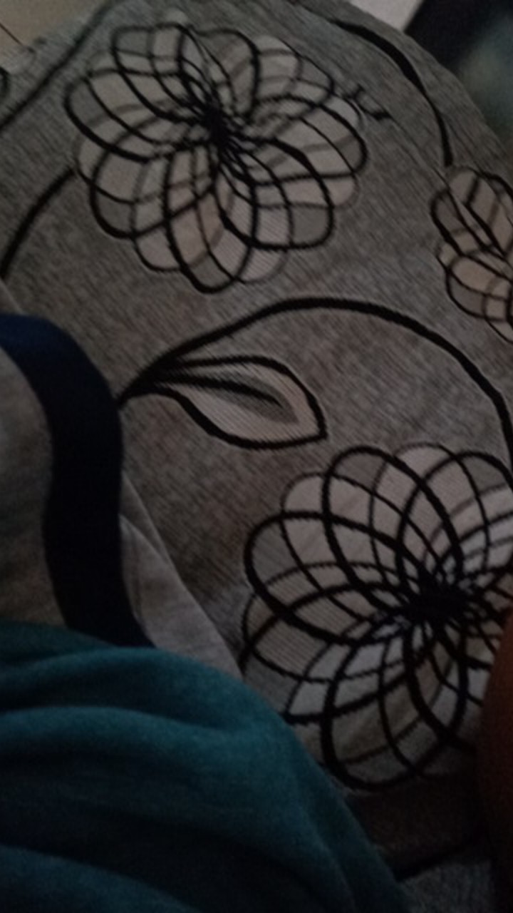 bibit bunga sedap malam umbi bunga sedap malam paling murah se Indonesia