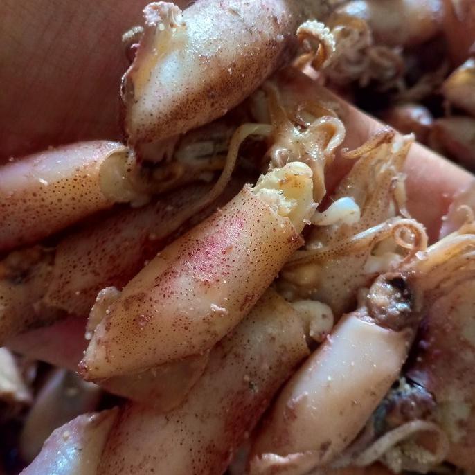 

ikan cumi asin kering per 500gr