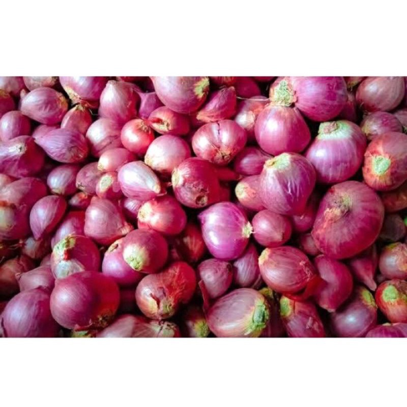 

Bawang Merah Fresh (Sayuran Segar)