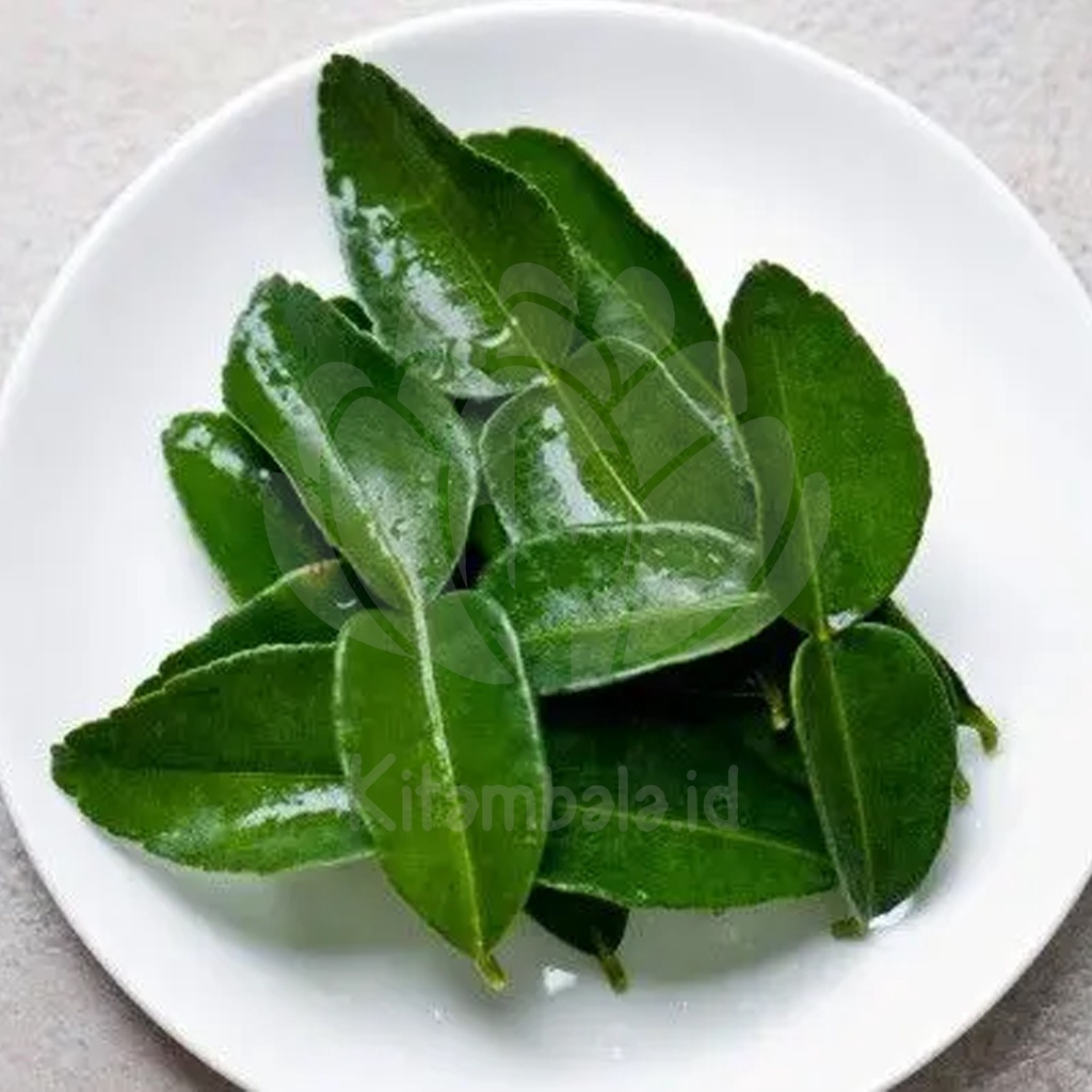 

Daun Jeruk Purut - Kemasan 100 gr