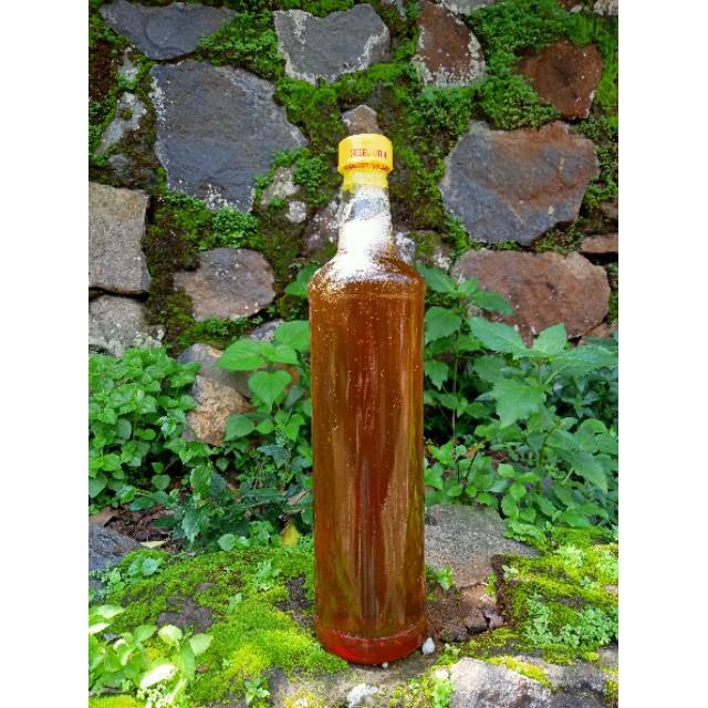 

Madu asli botol besar
