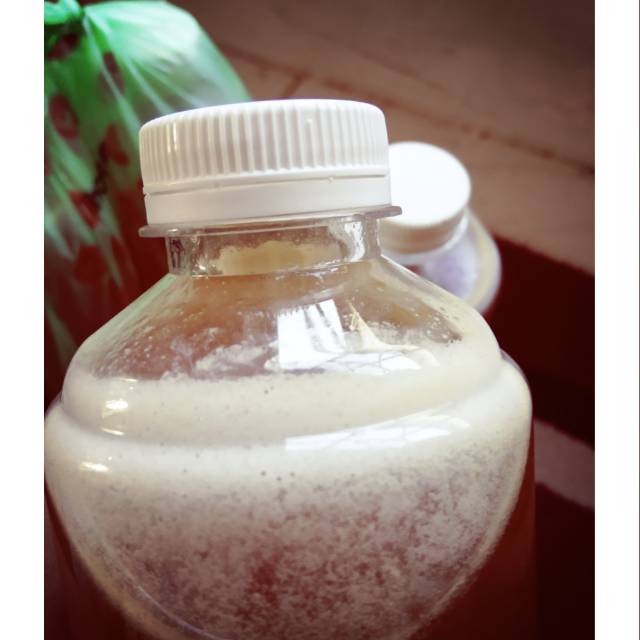 

Madu Asli Mentawai