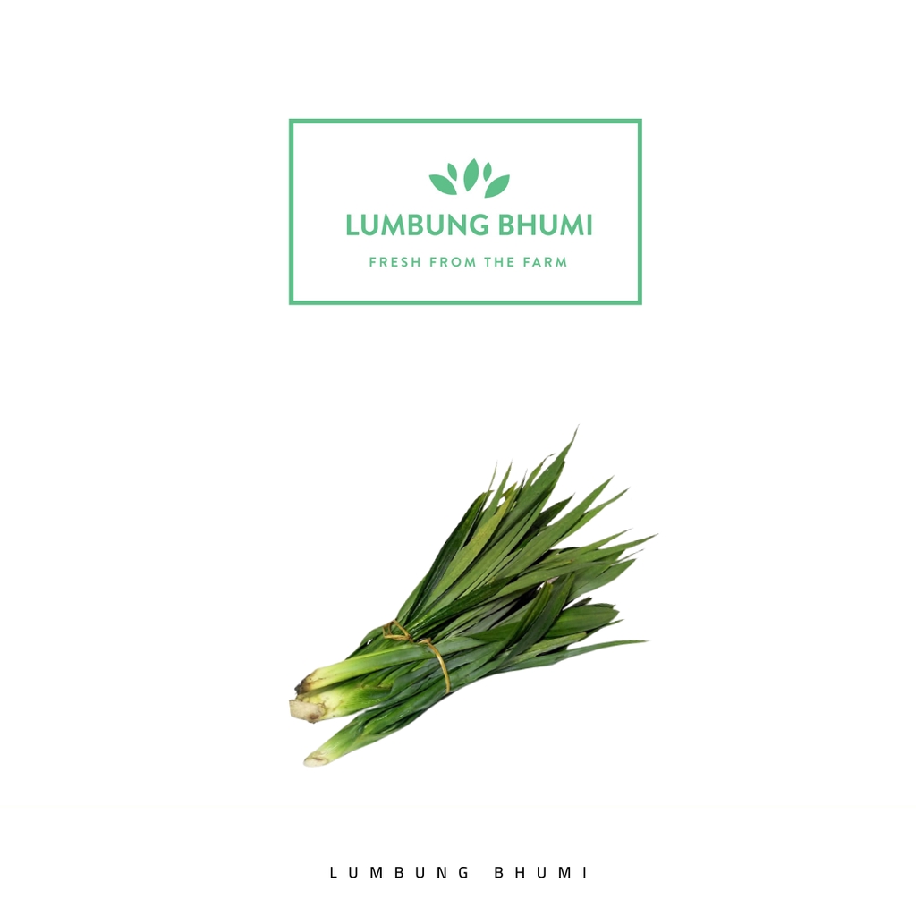 

Lumbung Bhumi - Daun Pandan 500 Gr ( Sayur Curah )