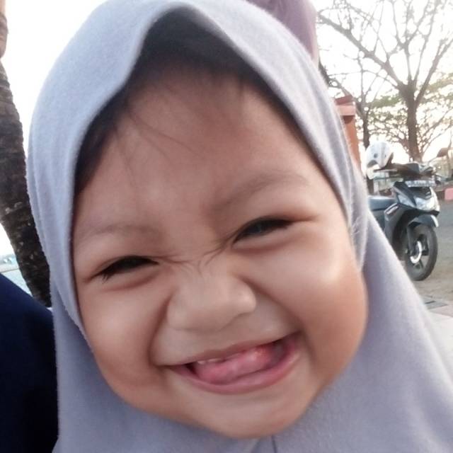 muksidar