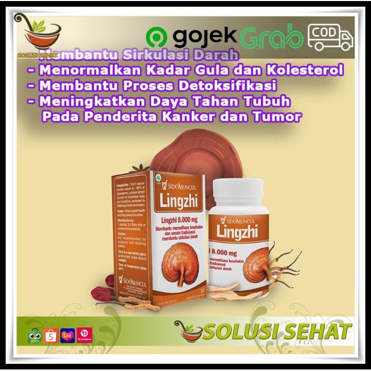 Obat Herbal Jamur Lingzhi Sidomuncul Detoksifikasi - Daya Tahan Tubuh