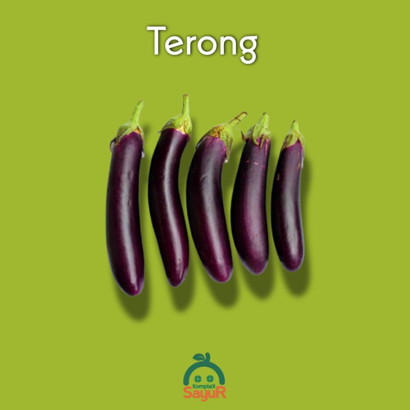 

Buah Terong Segar Kualitas Pilihan 1 Buah / 100 Gram