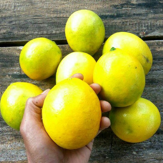 

Lemon California 1kg