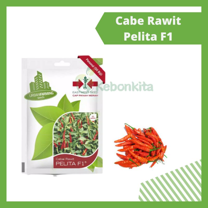 Benih Bibit Cabe Rawit Pelita F1 Cap Panah Merah