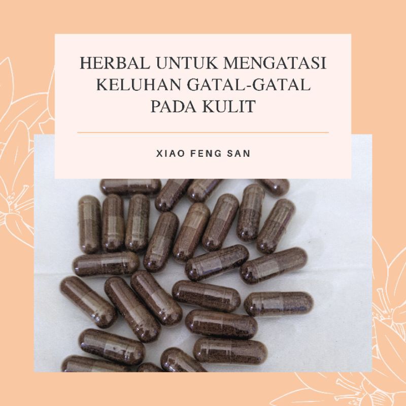 OBAT GATAL KULIT HERBAL CINA