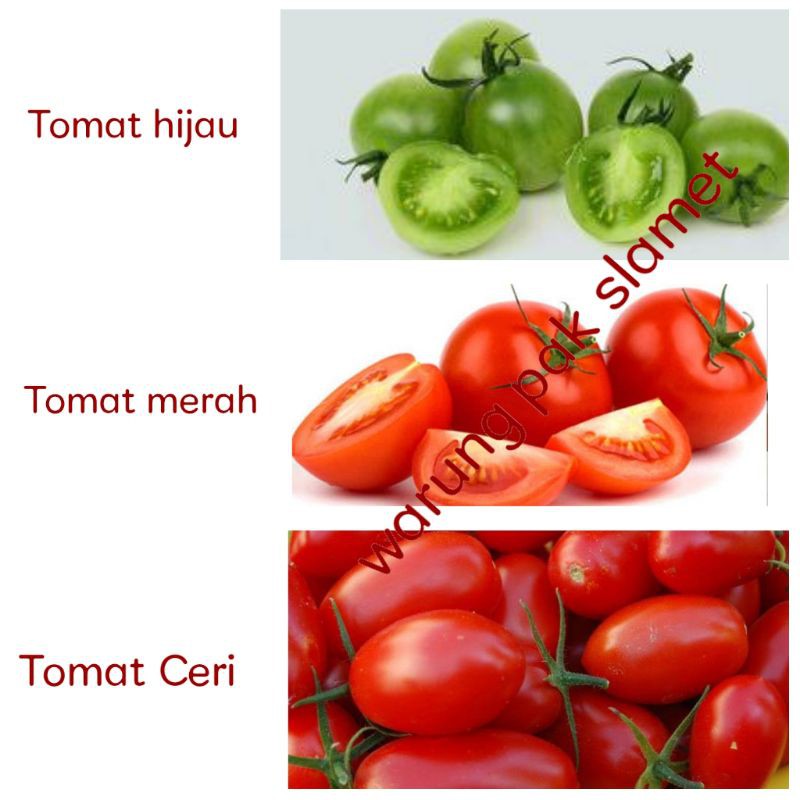 

Tomat hijau / Tomat merah / Tomat ceri sayuran segar