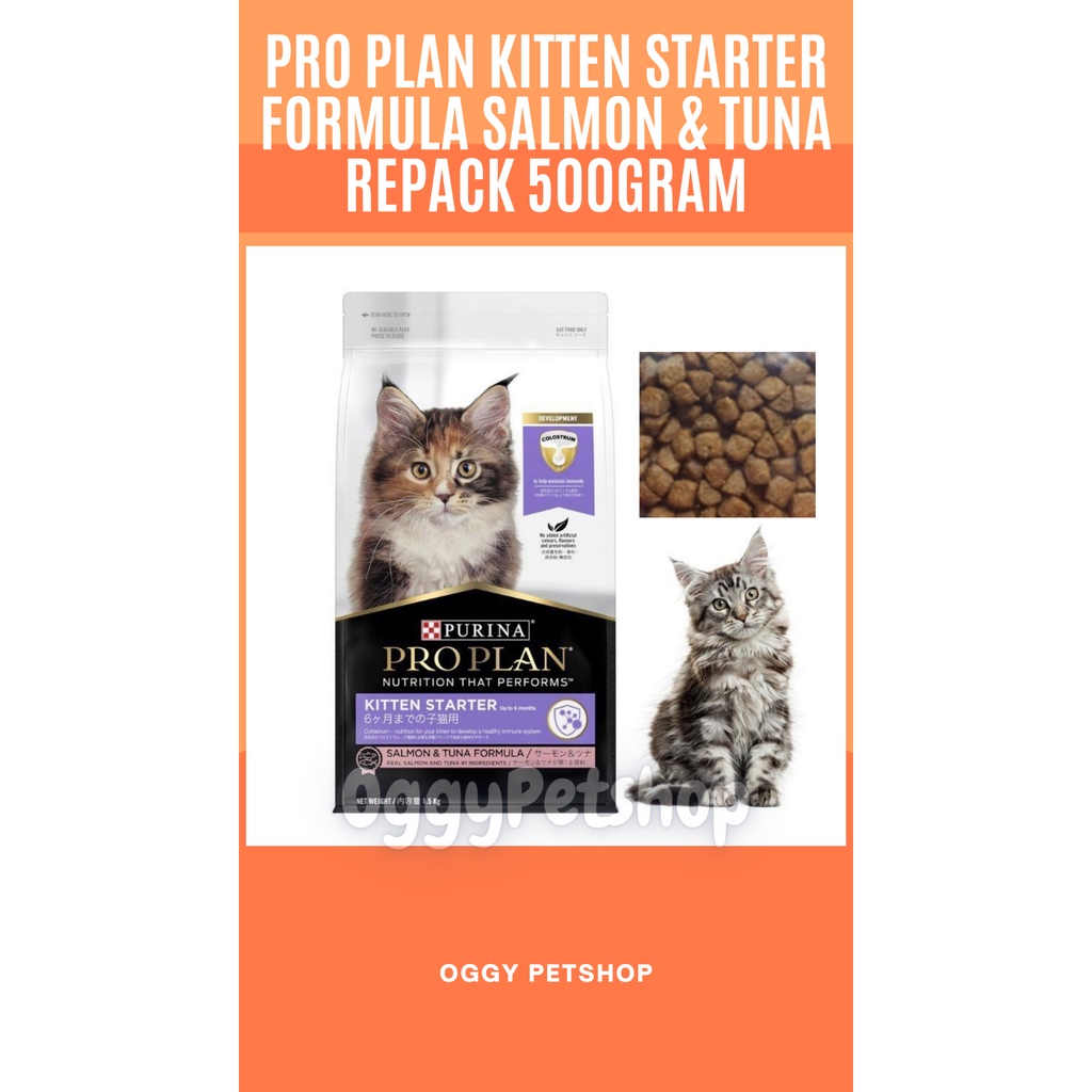 Makanan Kucing PRO PLAN Kitten Starter Salmon &amp; Tuna Formula 500gr | PROPLAN KITTEN STARTER 500gr