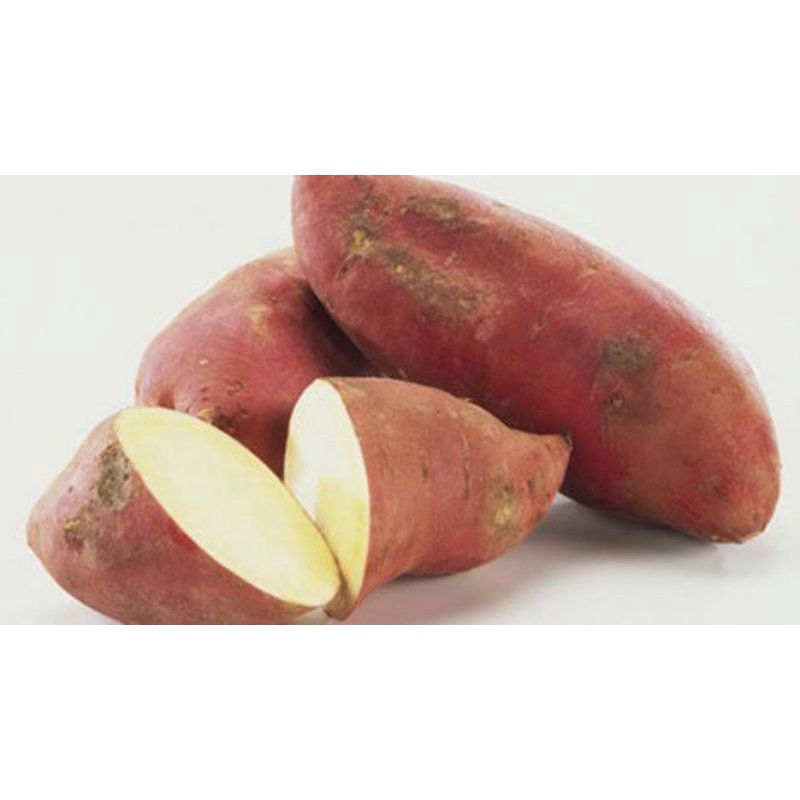 

ubi merah non organik & organik