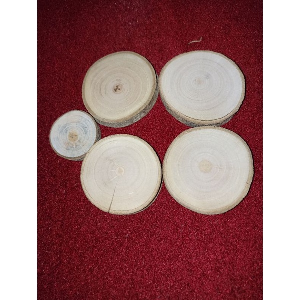 Wood slice / wooden / hiasan kayu / mainan alas hamster