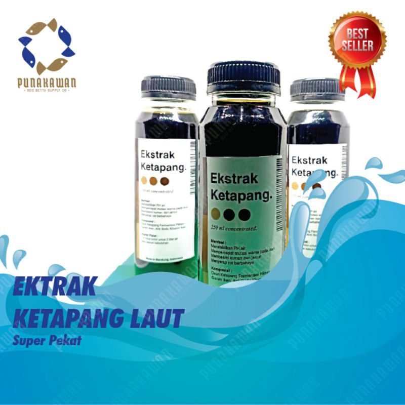 

Ekstrak daun ketapang olahan hitam pekat alami 250ml