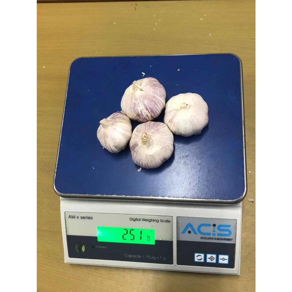 Bawang Putih Banci Honan 250 Gram Premium (tidak ada yang busuk)