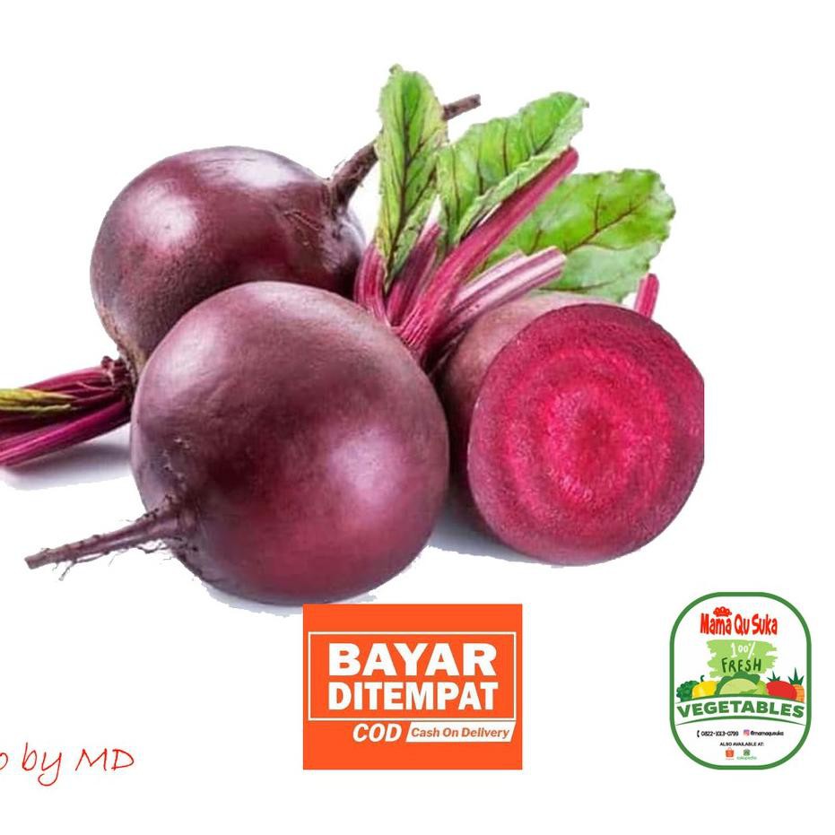 

PALING HOT!! (qul-1272) Buah Bit Merah / Beet Root