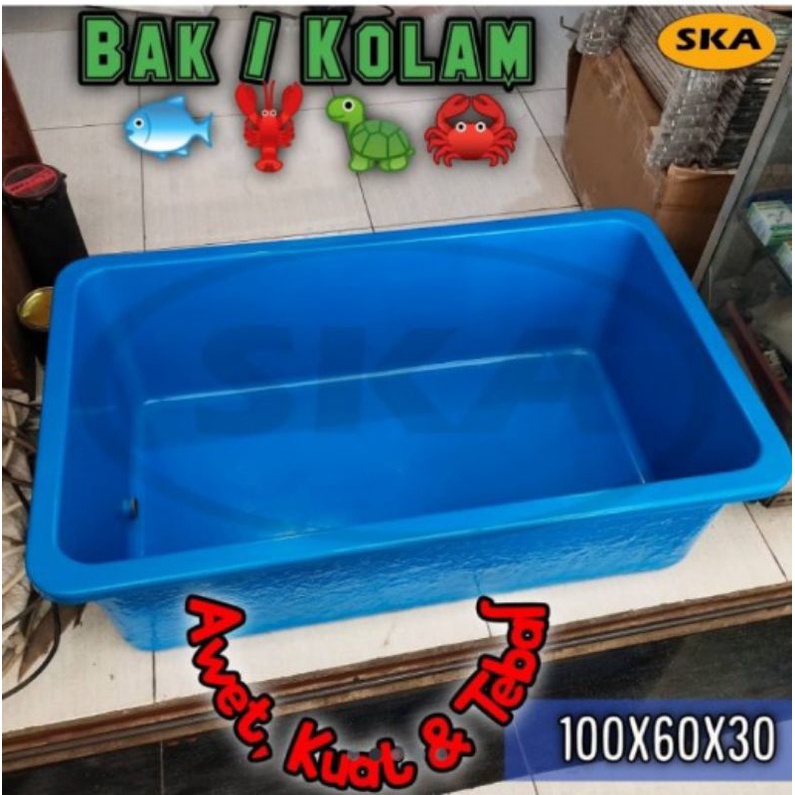Bak ikan/bak kura-kura/kolam ikan / bak berbahan fiber glass