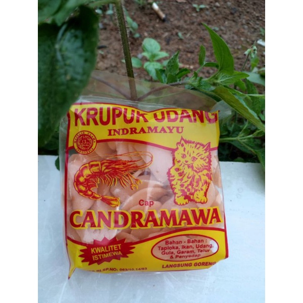 

kerupuk Udang