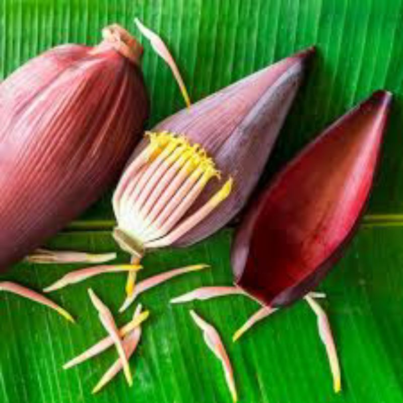 

JANTUNG PISANG/ ONTONG PISANG ( BIJIAN)