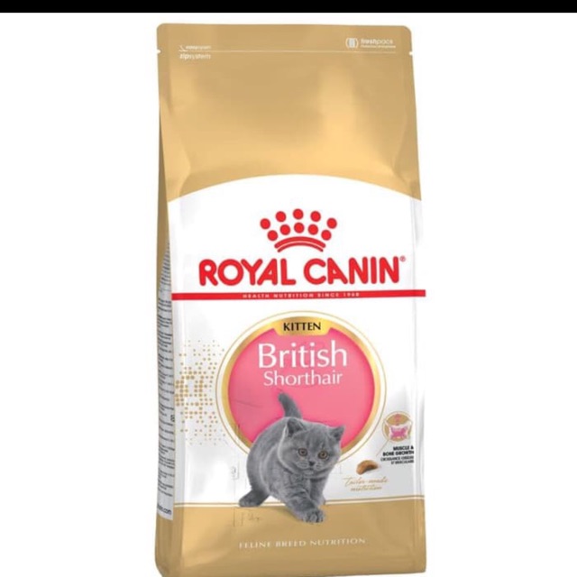 Royal Canin Kitten British Shorthair 400GR / rc canin kitten british shorthair 400g