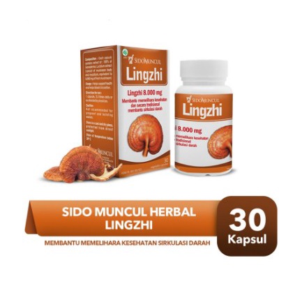 

Sido Muncul Herbal Lingzhi 30 Kapsul - Menghambat Sel Tumor Kanker