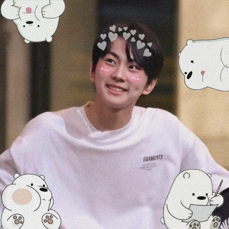 Photocard neck pillow jungwon (booked)