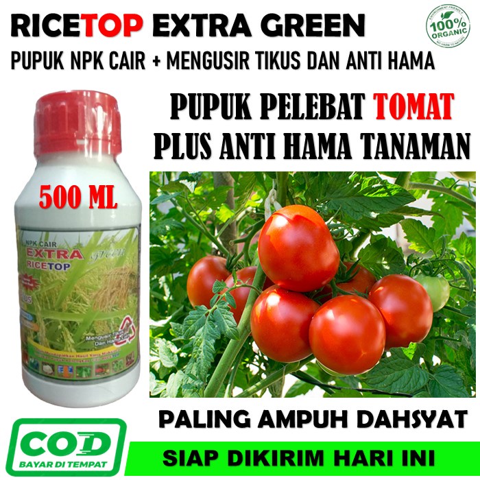 PROMO MURAH - RiceTop Extra Green Pupuk NPK Pelebat Tomat - Obat Semprot Pelebat Tanaman Tomat - Pup
