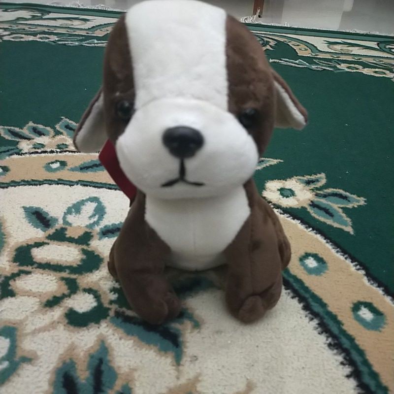 boneka timezone