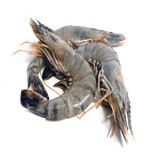 

Seefood - Udang Size 40 (250gr)