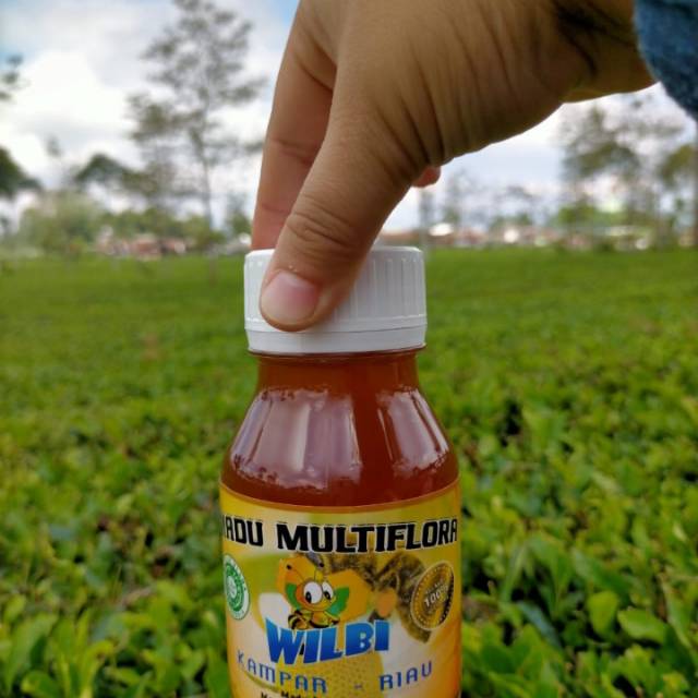 

Madu Wilbi, Madu Lebah liar. Mengandung Pollen Alami