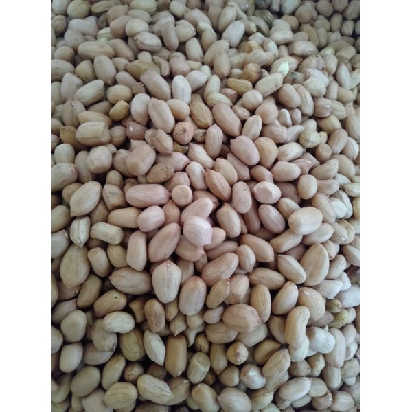

kacang tanah mentah 1kg