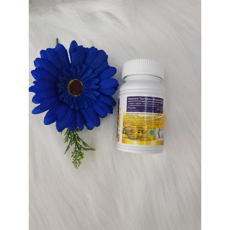 Nature's Pride Propolis Gold isi 100