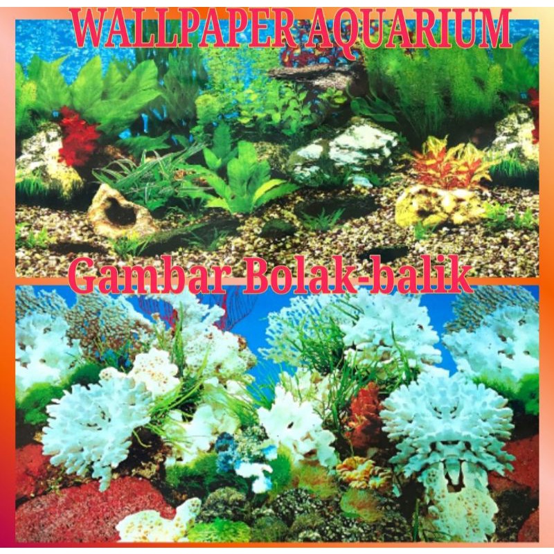 Wallpaper Aquarium 50cmx100cm/Background Aquarium gambar bulak balik