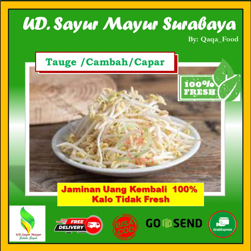 

KECAMBAH TAUGE CAMBAH capar segar SAYUR 500GR / toge SAYURAN FRESH 500 gram - UD191