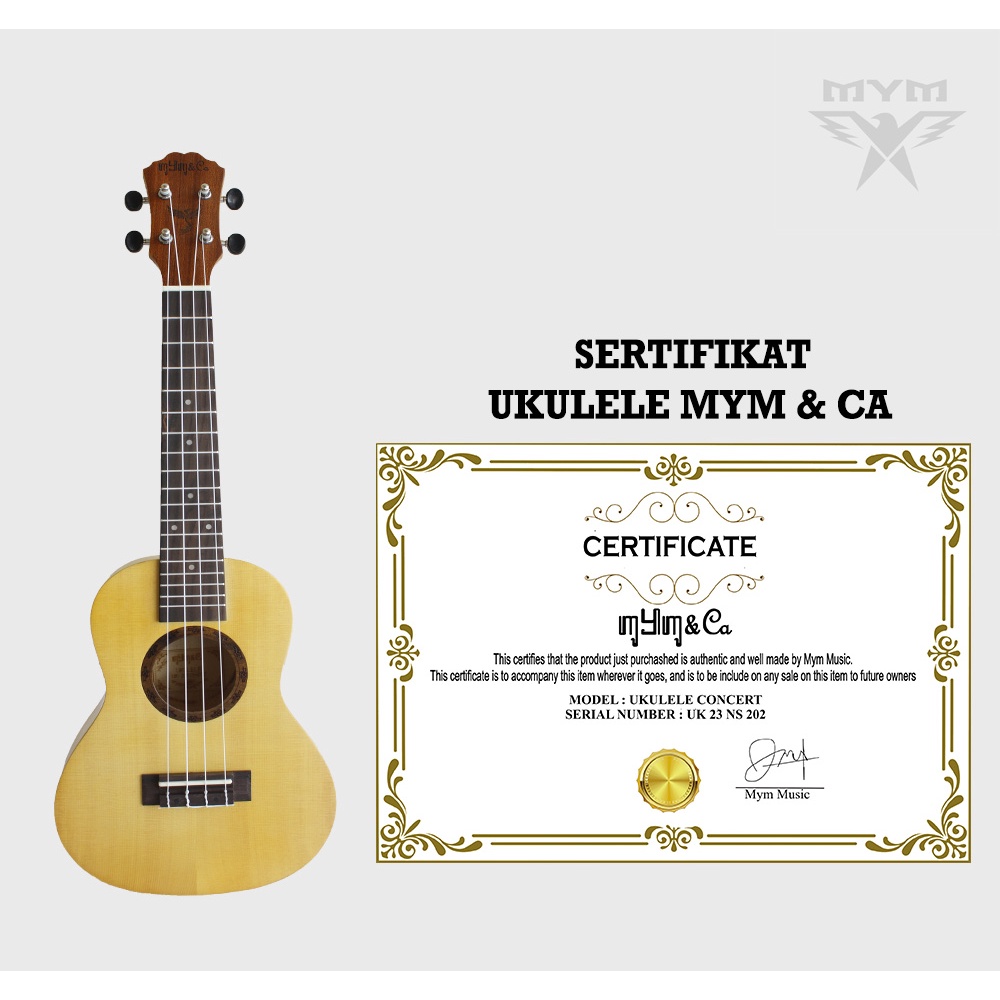 Ukulele cowboy 23 concert elektrik original