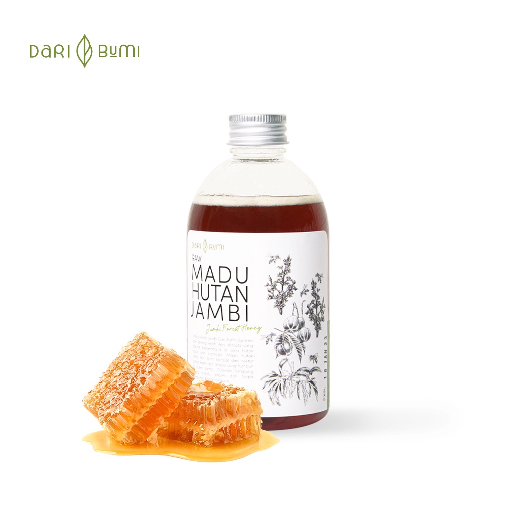 Madu Asli Hutan Jambi 340g Dari Bumi Premium Pure Original