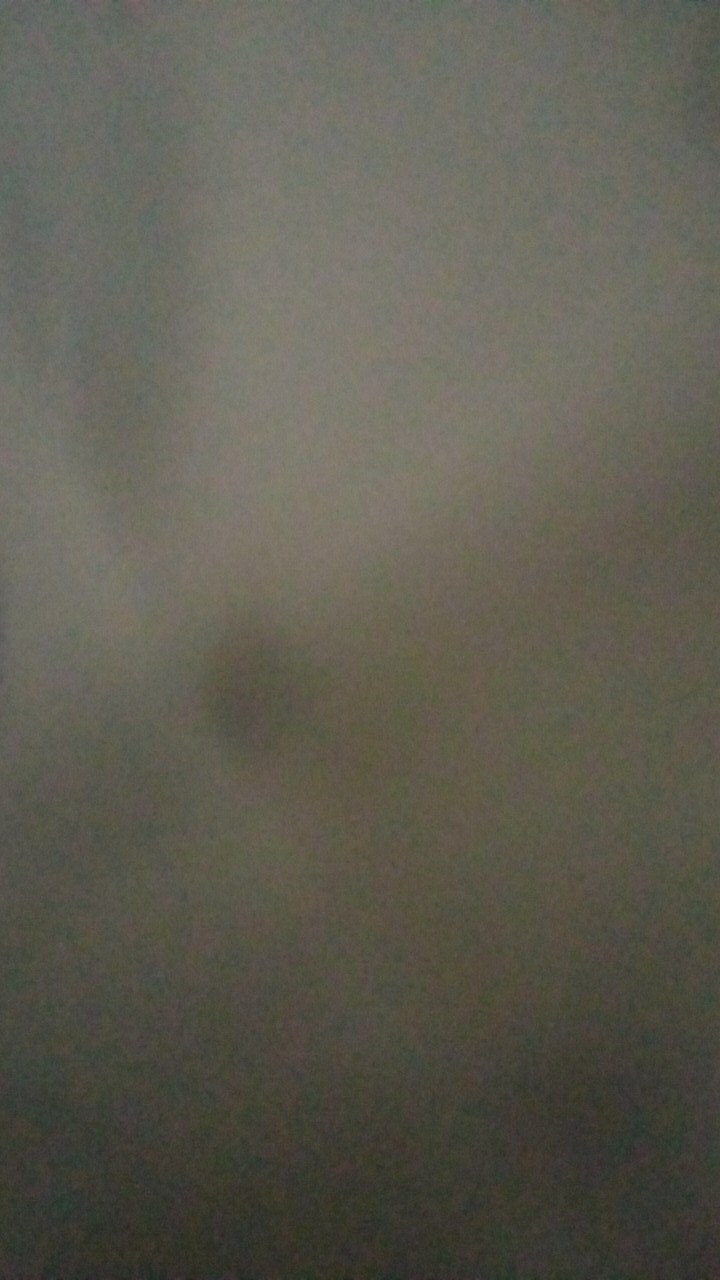 Moon Kain Sprei Meteran Katun Lokal Catra Magenta Melisa Mellisa Daun Minimalis & Bunga Carmelita