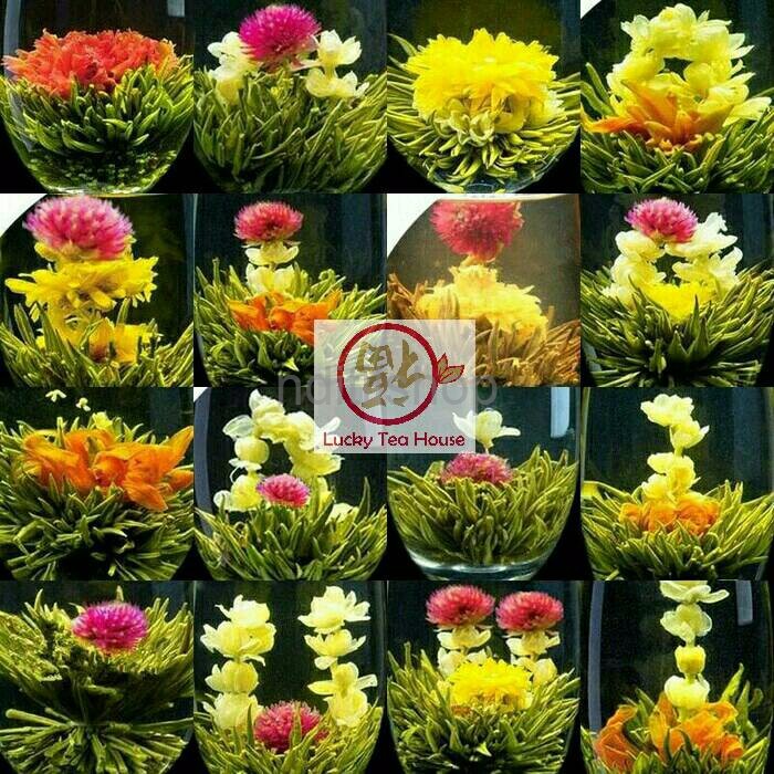 

Chinese blooming flower tea teh bunga cina