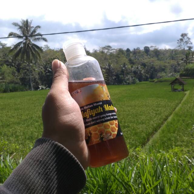 

Madu Hutan Murni Bergaransi Aafiyah Raw Honey