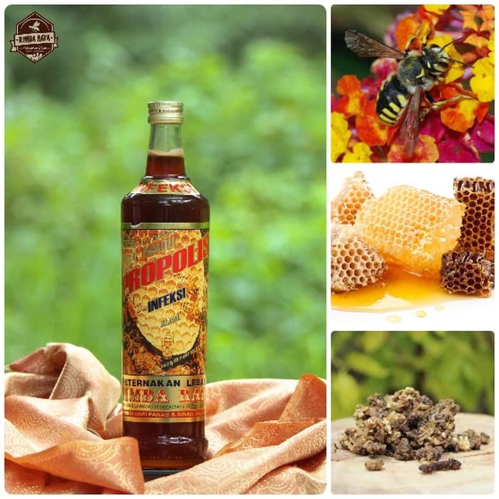 

Madu Propolis Infeksi - MMD702