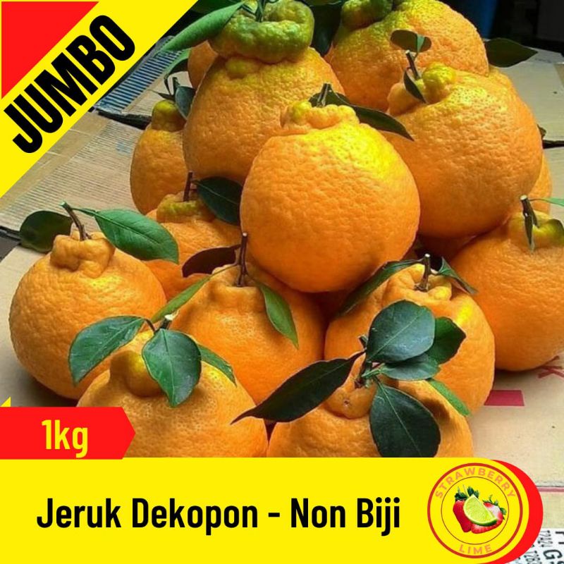 

Jeruk Dekopon Super - 1kg