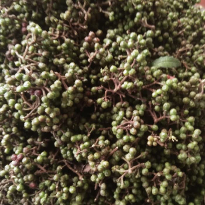 

Ready - Andaliman Kemasan 1/2 Kg