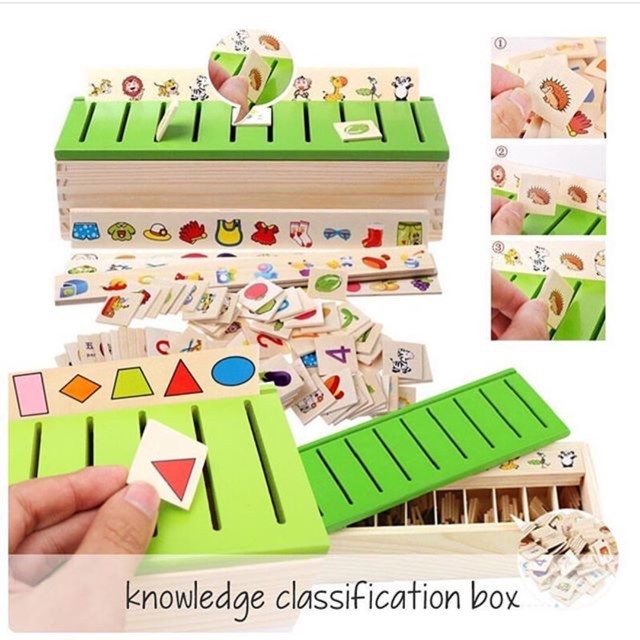 Kotak Kayu Edukasi - Classification Box - Mainan Edukasi - Montessori