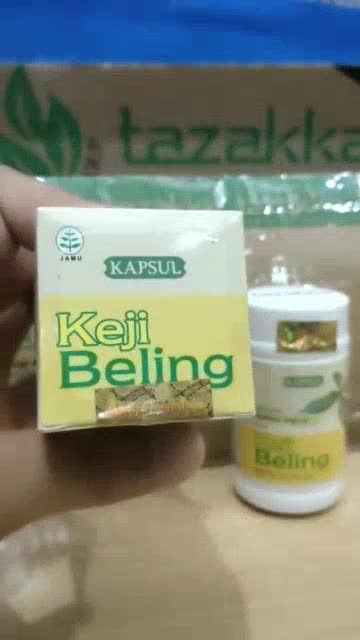 Tazakka Daun Keji Beling Kapsul Original Obat Penghancur Tazakka Daun Keji Beling Kapsul Original Obat Penghancur