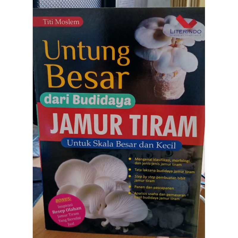 Untung Besar Dari Budidaya Jamur Tiram Shopee Indonesia