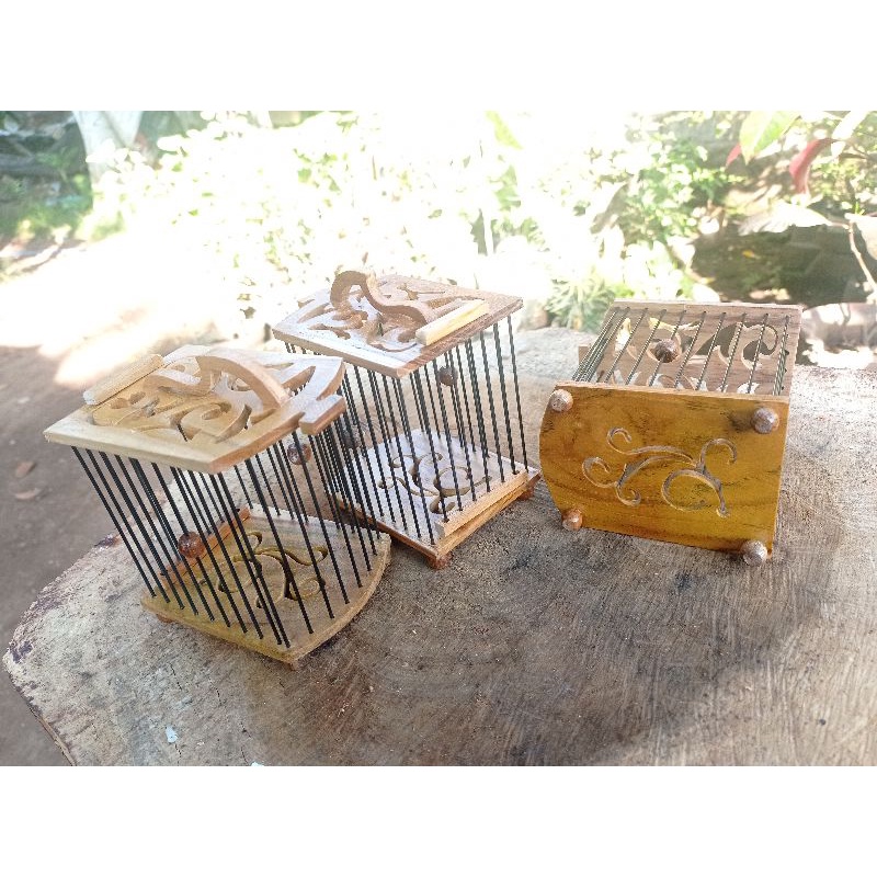 SANGKAR UNTUL/CEWEKAN KONIN