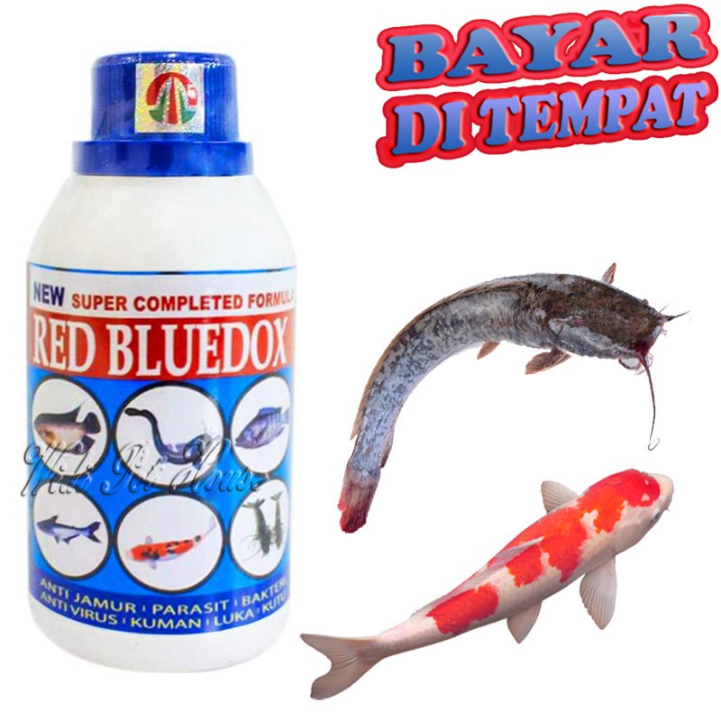 Obat Jamur Ikan RED BLUEDOX Anti Virus Bakteri Lele Gurame Nila Patin Koi Bawal