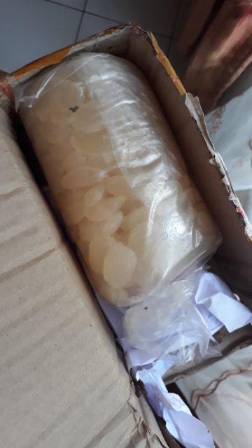 Manbar - Bibit Honje Merah Atau Honje Laka