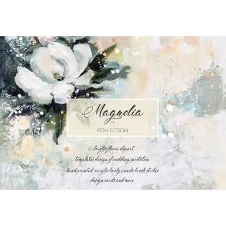 Magnolia Collection