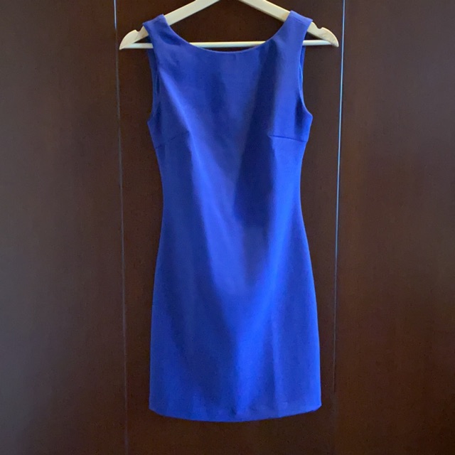 Zara Trafaluc Dress